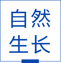 自然生長(zhǎng)的高檔淡干海參
