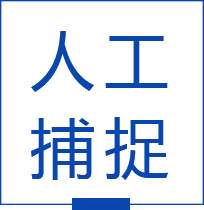 人工捕捉大欽島海參